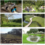 Image 9 : Natural play facilities within an eco-valley park and new play areas Image 10 : Community orchards and growing areas Image 11 : Hillside country park Image 12 : Wetland/ sustainable drainage and boardwalks Image 13 : The creation of wildlife cor